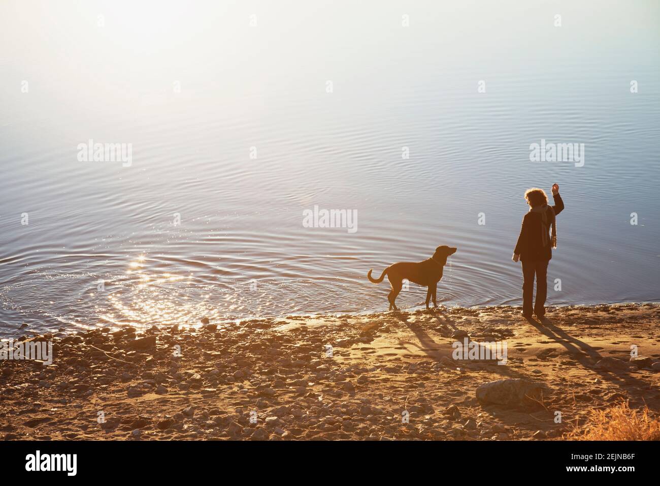 Donna e il suo cane che giocano sul fiume. Foto Stock