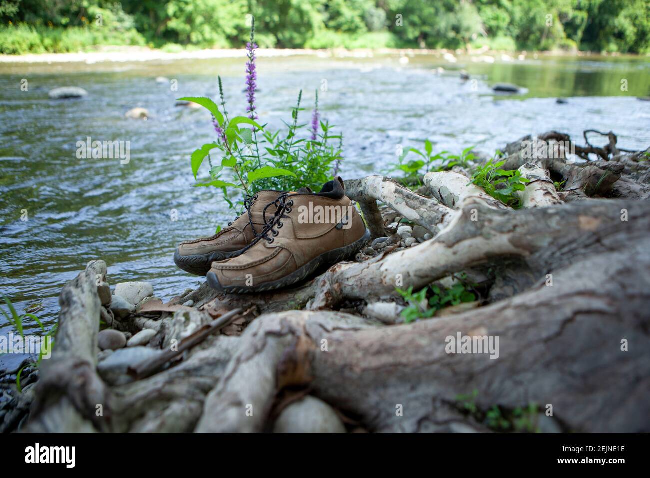 Un paio di scarpe da trekking brwon in piedi presso il fiume mentre nessuno sta appoggiando i loro piedi irritati e li sta immergendo nella fresca acqua del fiume per rilassarsi Foto Stock