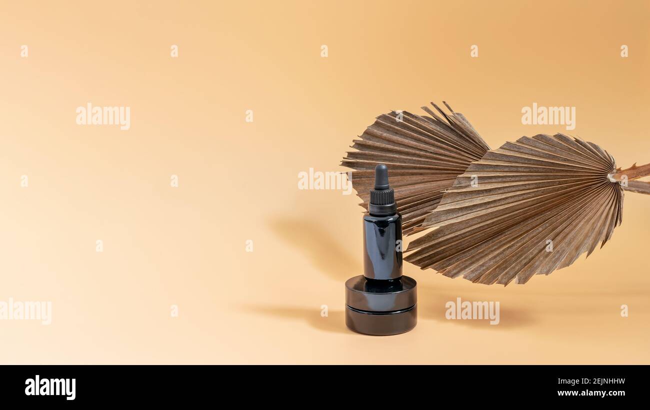 Modello di mockup di branding di foglie secche testurizzate di palma di zucchero e cosmetici bottiglie scure. Piacevole sfondo pastello per disperdere il vostro logo o prodotto b Foto Stock