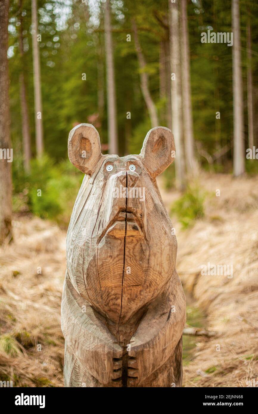 Chainsaw legno Arte animale intagliato Orso in una foresta di legno di pino con molti alberi di tronchi per l'intaglio e artigianato fatto a mano dal legno. Foto Stock