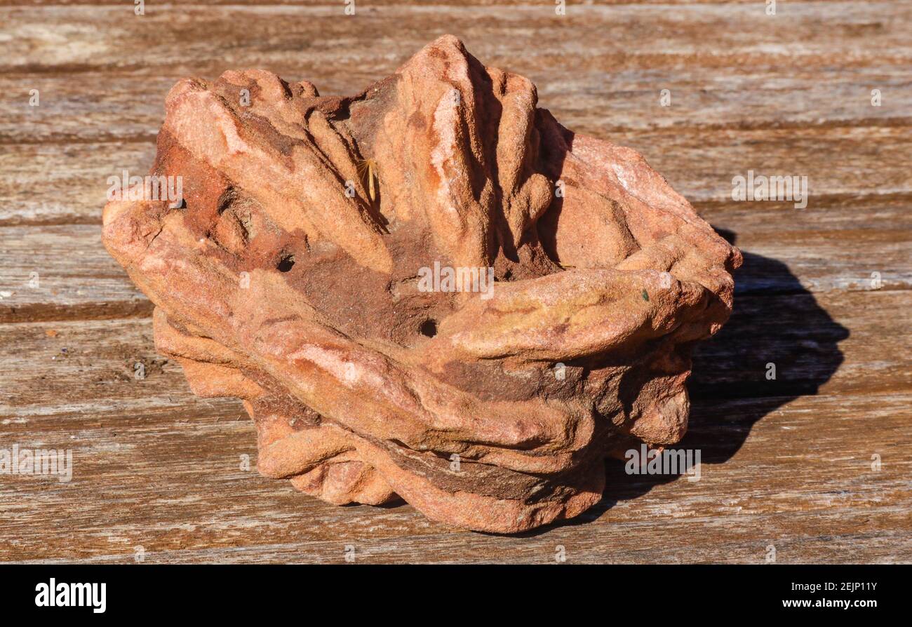 Primo piano di roccia rosa (Barite rock Crystal - Oklahoma state Rock) seduta su legno Foto Stock