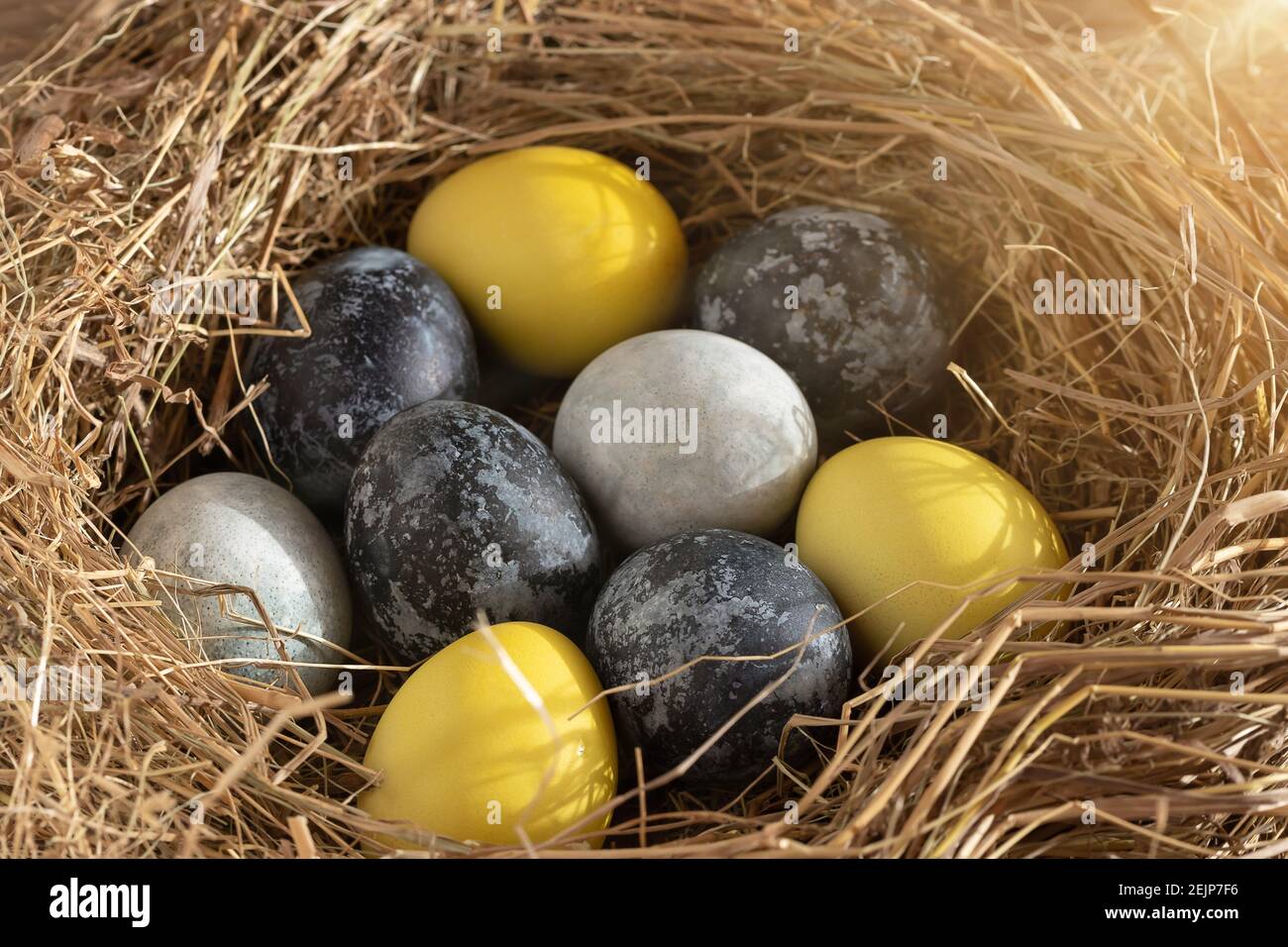 Composizione pasquale - uova di Pasqua gialle e blu dipinte con coloranti naturali in un nido di fieno. Foto Stock