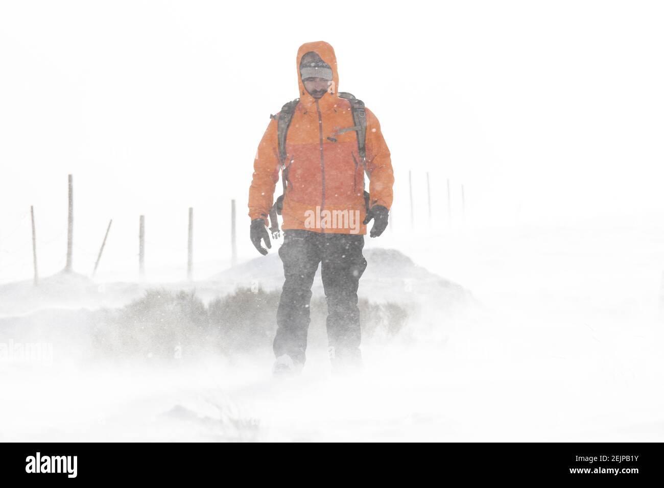 Uomo che cammina nel mezzo di una tempesta di neve Foto Stock