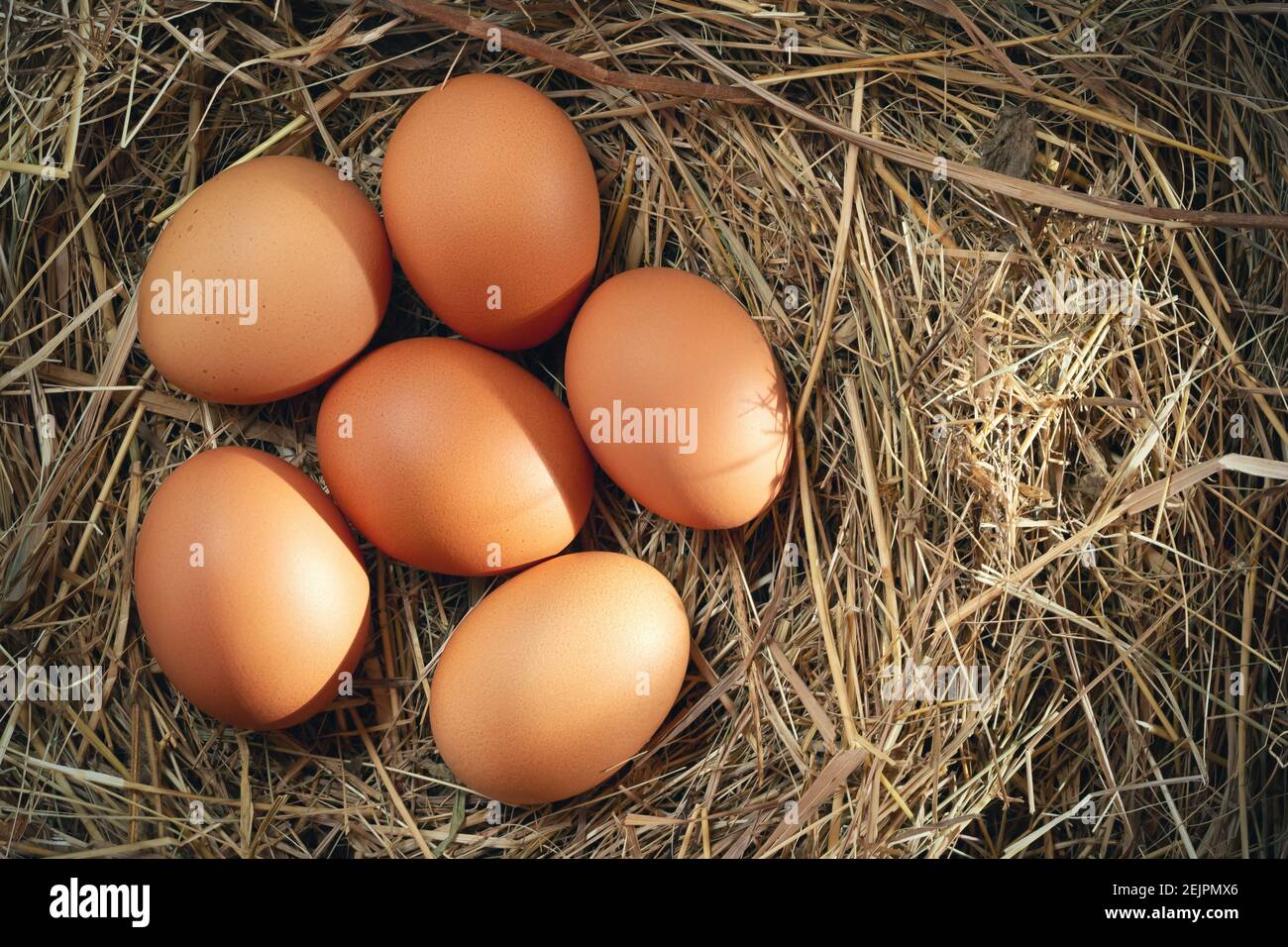 Diverse uova fresche di pollo crude in un nido di fieno su uno sfondo di legno. Foto Stock