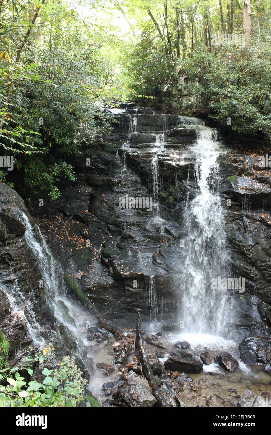 Doppia cascata nel bosco Foto Stock