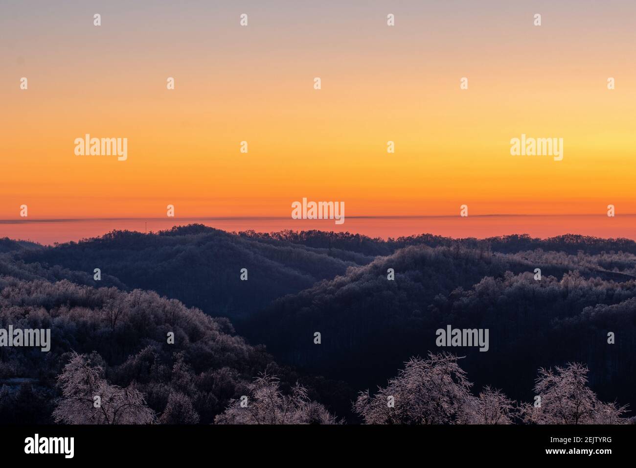 I colori del tramonto riempiono il cielo sopra una foresta ricoperta di ghiaccio. Foto Stock