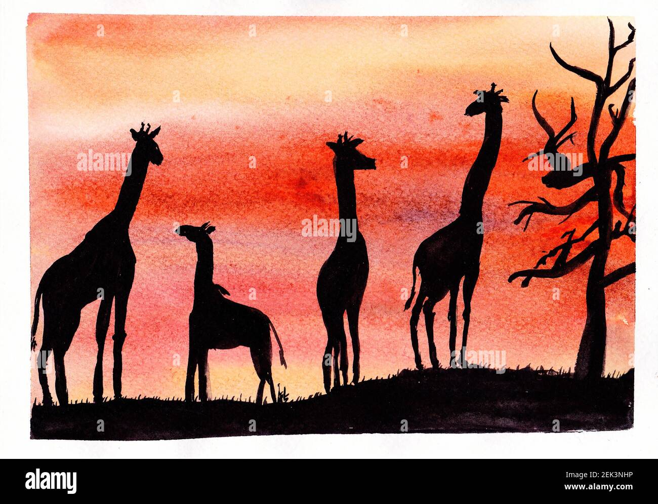 Silhouette di giraffe illustrazione acquerello. Paesaggio nella savana disegno a mano libera su carta watercolor testurizzata. Giraffe al tramonto. Foto Stock