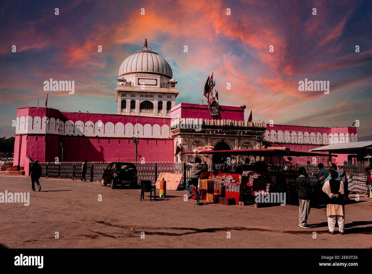 Il Mandir Karnimata situato a Bikaner Rajasthan è ben noto per i ratti. Come potete vedere migliaia di ratti in questo tempio. Foto Stock