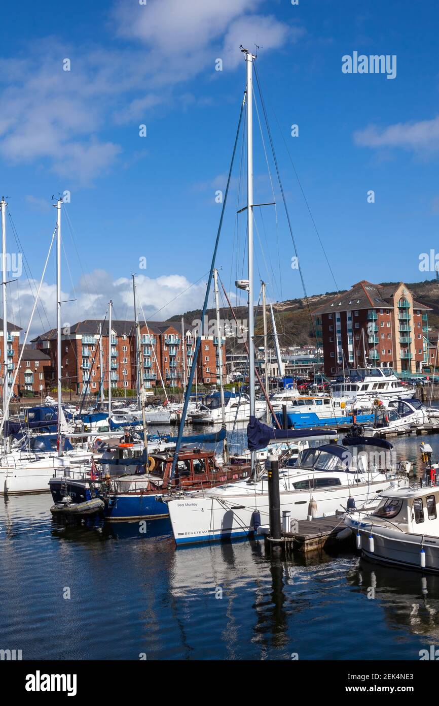 Swansea, Galles, 31 marzo 2017 : Swansea Marina è una popolare località balneare per le barche e gli yacht sulla costa gallese, stoc Foto Stock