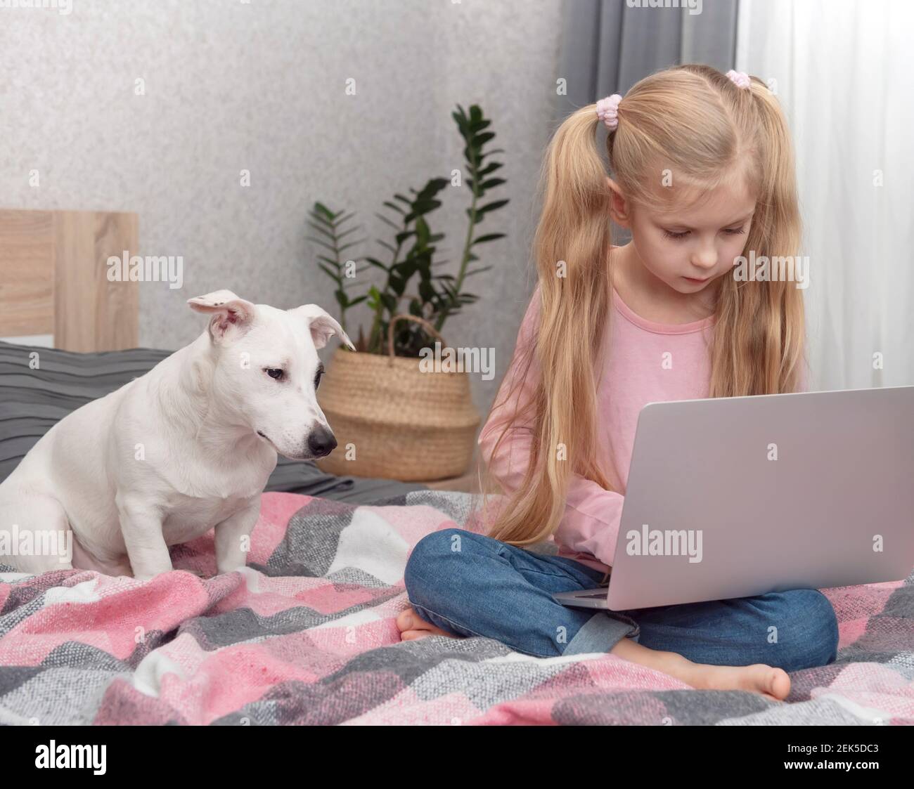 Bionda ragazza studia a casa online con un portatile. Bambini e un cane sul letto. Foto Stock