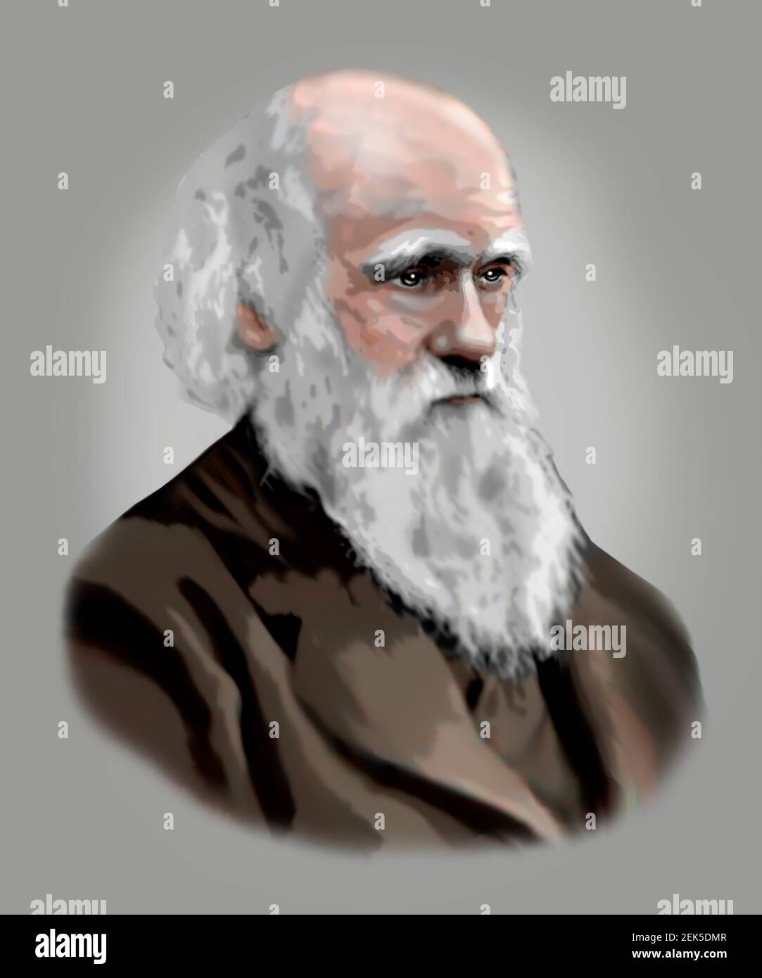 Charles Darwin 1809-1882 Illustrazione di stile moderno naturalista inglese Foto Stock