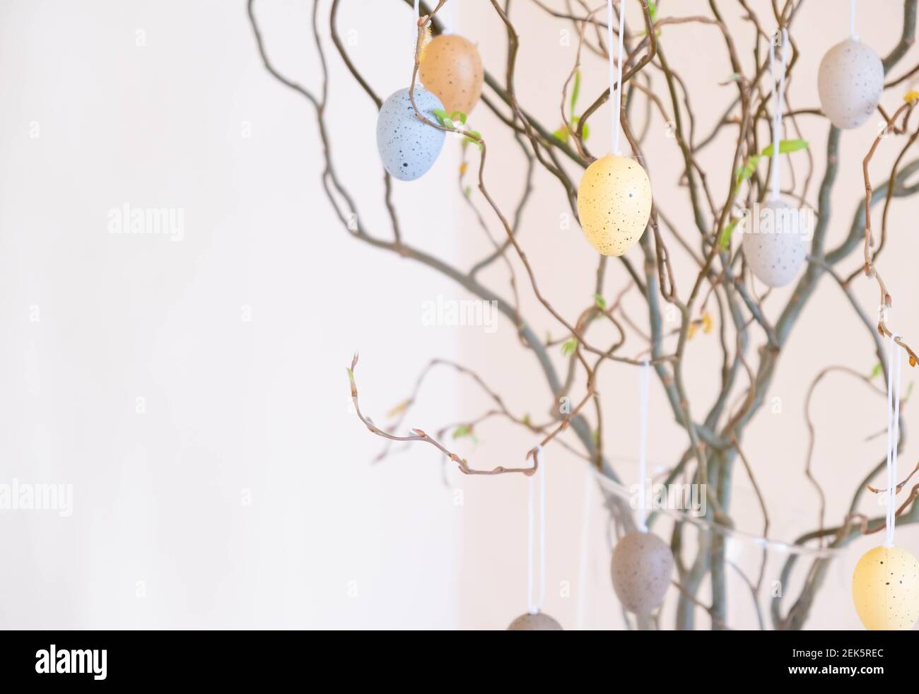 Pasqua. Vaso con rami di betulla con uova di Pasqua Foto Stock