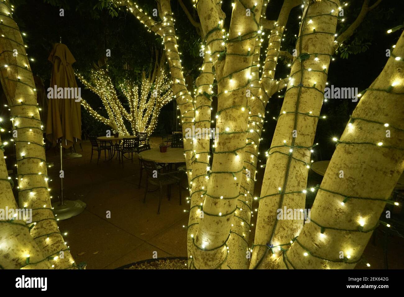 Alberi illuminati in un lussuoso giardino dell'hotel di notte Foto Stock