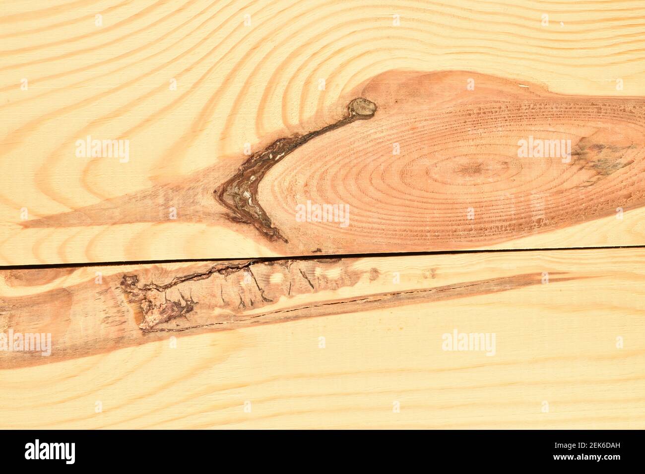 Tavole di legno naturale trattate, pino. Foto Stock