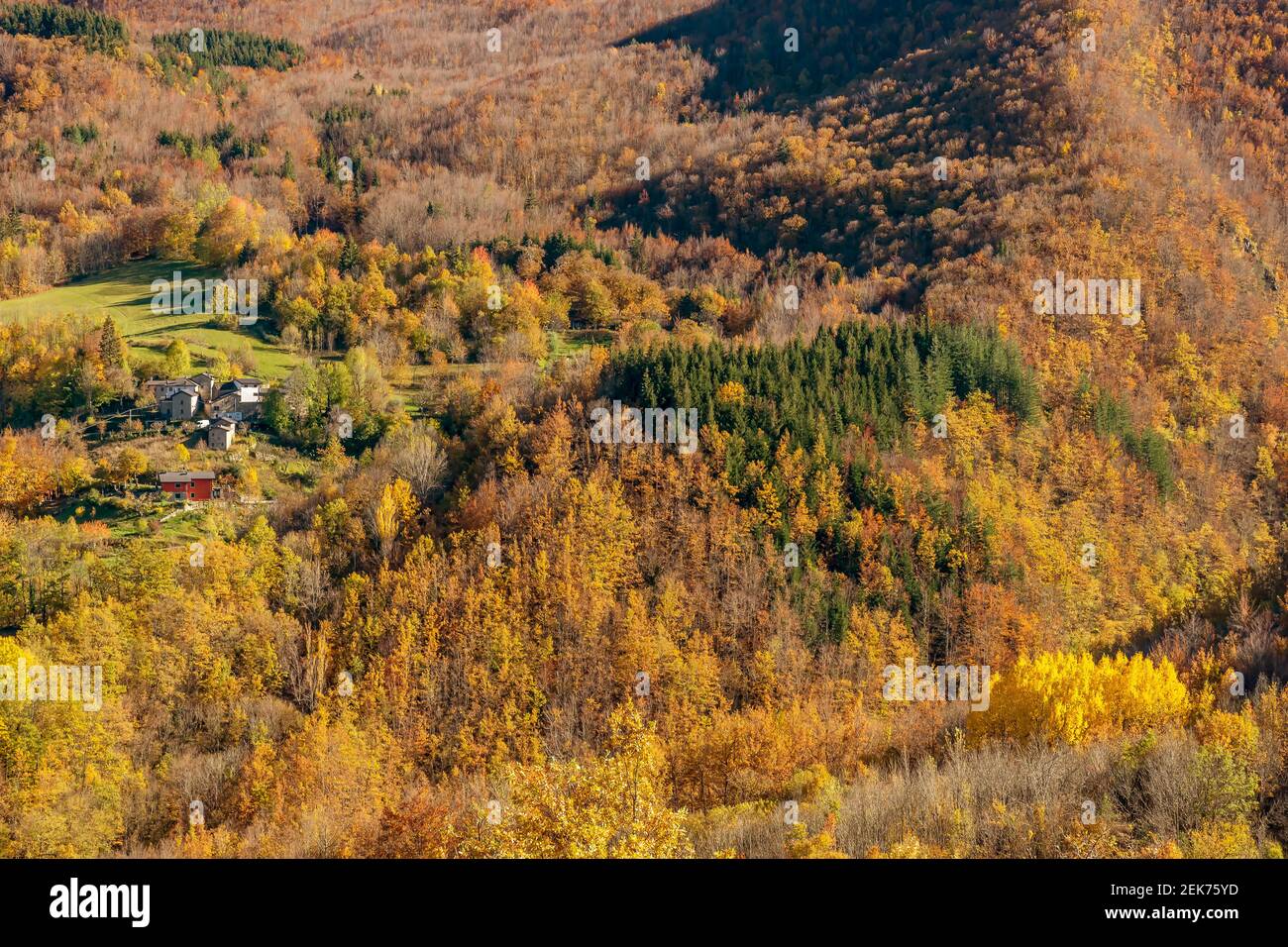 Uno scorcio dell'Appennino Emiliano tra Pievepelago e Fiumalbo, Italia, con gli alberi dai colori colorati dell'autunno Foto Stock