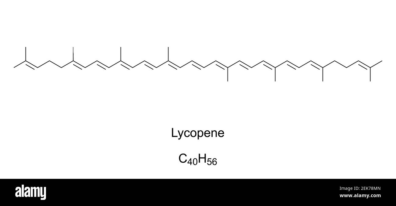 Licopene, formula chimica e struttura scheletrica. Carotene rosso brillante, trovato in pomodori, carote rosse, cocomeri, pompelmo e papaia. Foto Stock