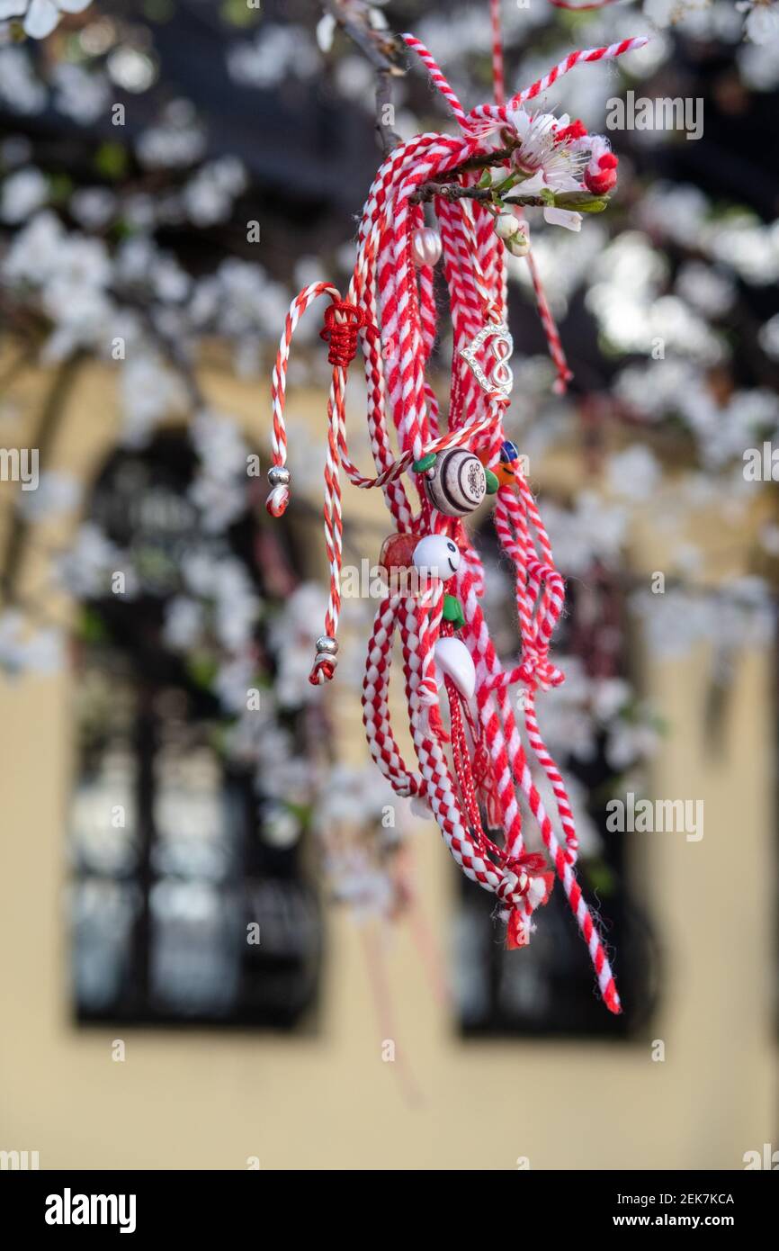 Braccialetti Martenitsa o Martisor rossi e bianchi, appesi sui rami dell'albero in fiore - tradizione primaverile bulgara e rumena Foto Stock