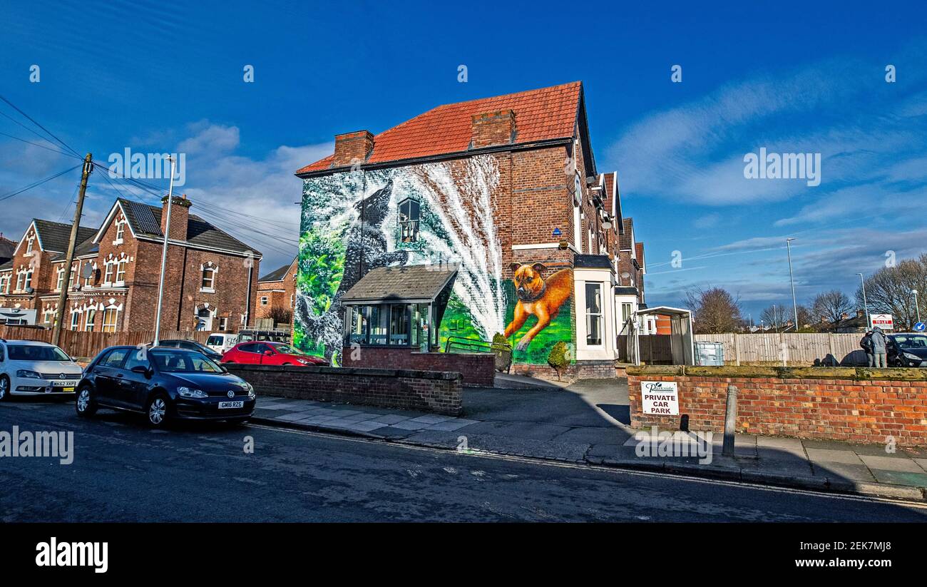 Un nuovo murale dell'artista Paul Curtis, dipinto sul lato della Chirurgia veterinaria del Parkside a New Ferry, Wirral. Data immagine: Martedì 23 febbraio 2021. Foto Stock