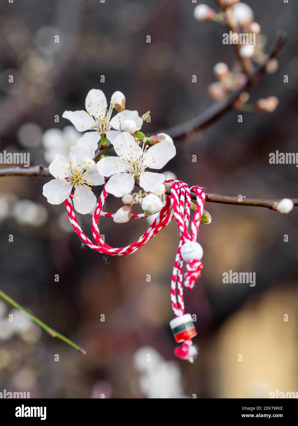 Braccialetti Martenitsa o Martisor rossi e bianchi, appesi sui rami dell'albero in fiore - tradizione primaverile bulgara e rumena Foto Stock