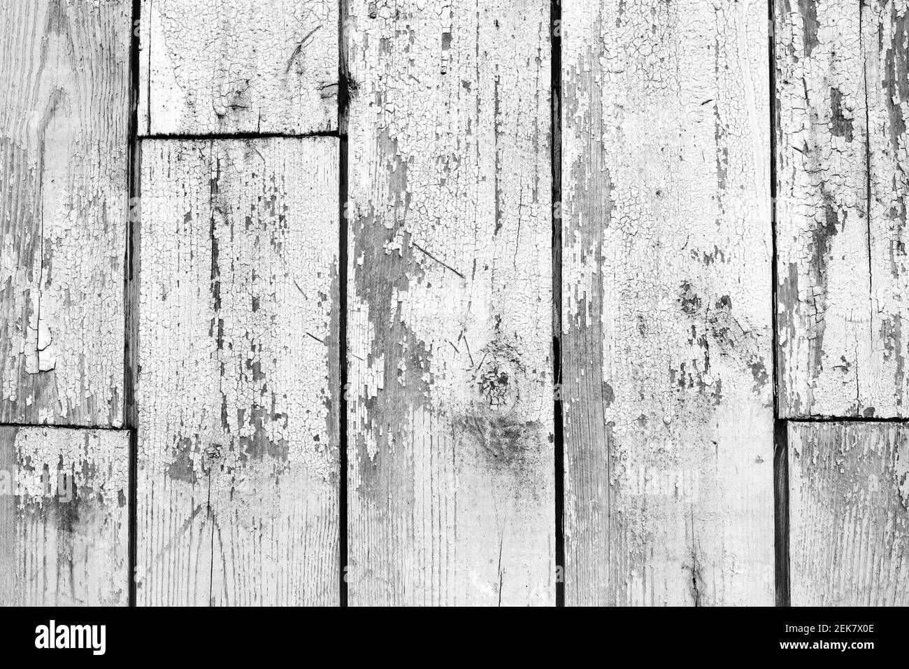 Vecchio muro di legno grugnoso con strato di vernice bianco pelato, trama foto di sfondo Foto Stock