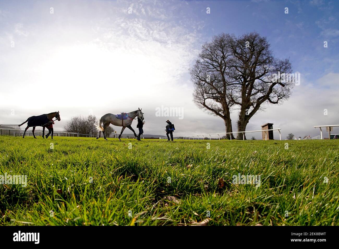 Una vista generale mentre i corridori si fanno strada dalle scuderie al ring della parata all'Ippodromo di Taunton. Data immagine: Martedì 23 febbraio 2021. Foto Stock
