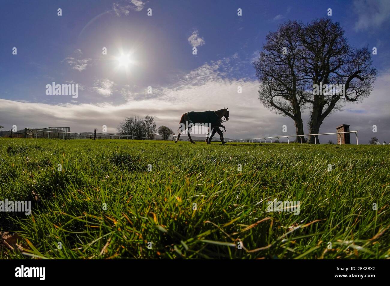 Un cavallo si fa strada verso l'anello della parata all'ippodromo di Taunton. Data immagine: Martedì 23 febbraio 2021. Foto Stock
