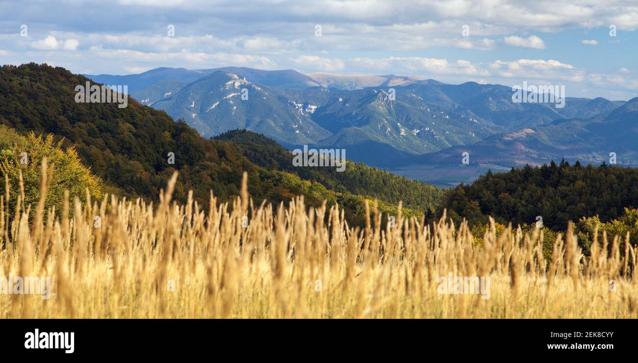 Mala Fatra. Vista sulle montagne Lucanska Mala Fatra. Montagne dei Carpazi slovacchi. Slovacchia Foto Stock