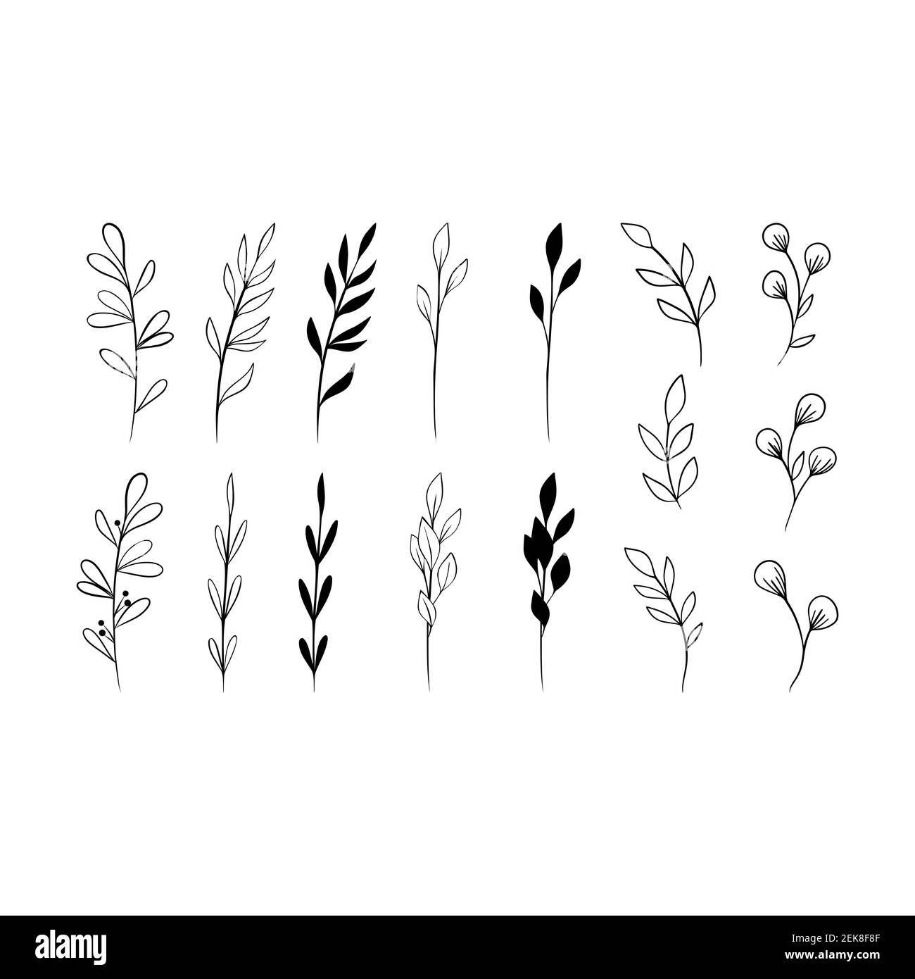 Raccolta di erbe. Set di foglie naturali line art. Illustrazione semplice ed elegante disegnata a mano. Elementi floreali vintage. Illustrazione vettoriale Illustrazione Vettoriale