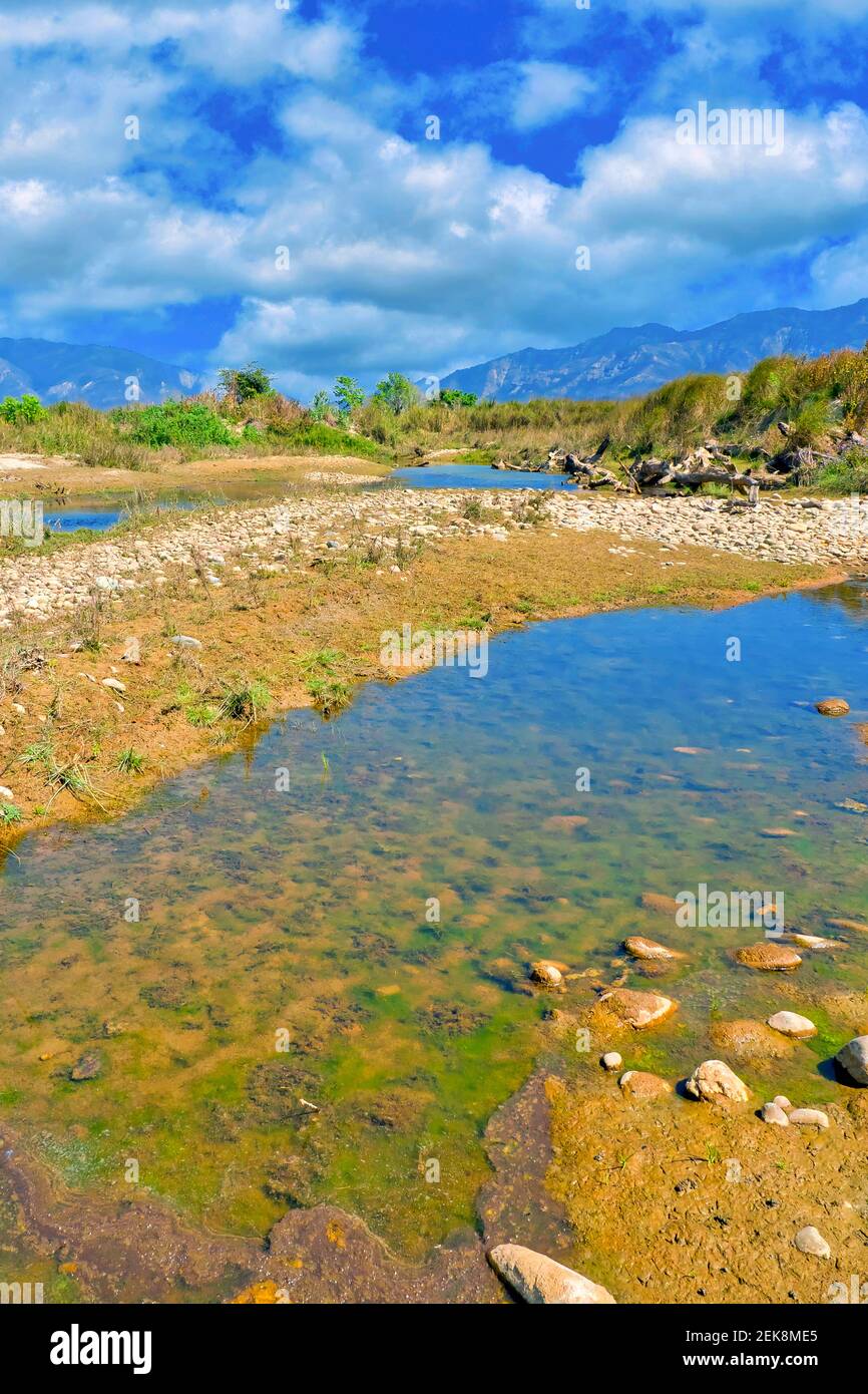 Fiume Babai, Parco Nazionale reale di Bardia, Parco Nazionale di Bardiya, Nepal, Asia Foto Stock