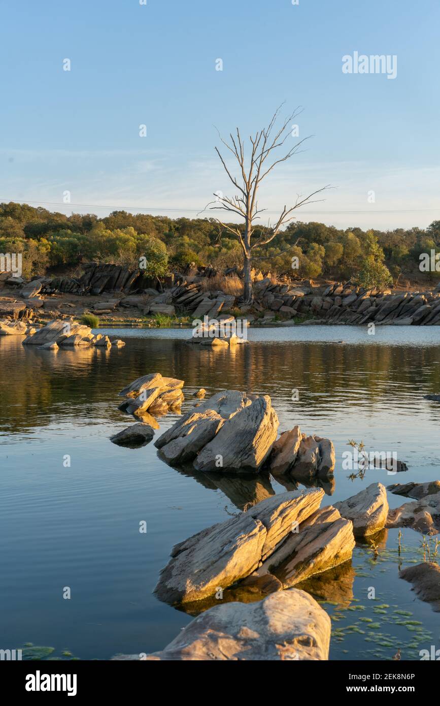 Bellissimo albero con rocce sul fiume Guadiana su un Giornata estiva ad Alentejo, al confine tra il Portogallo e. Spagna Foto Stock