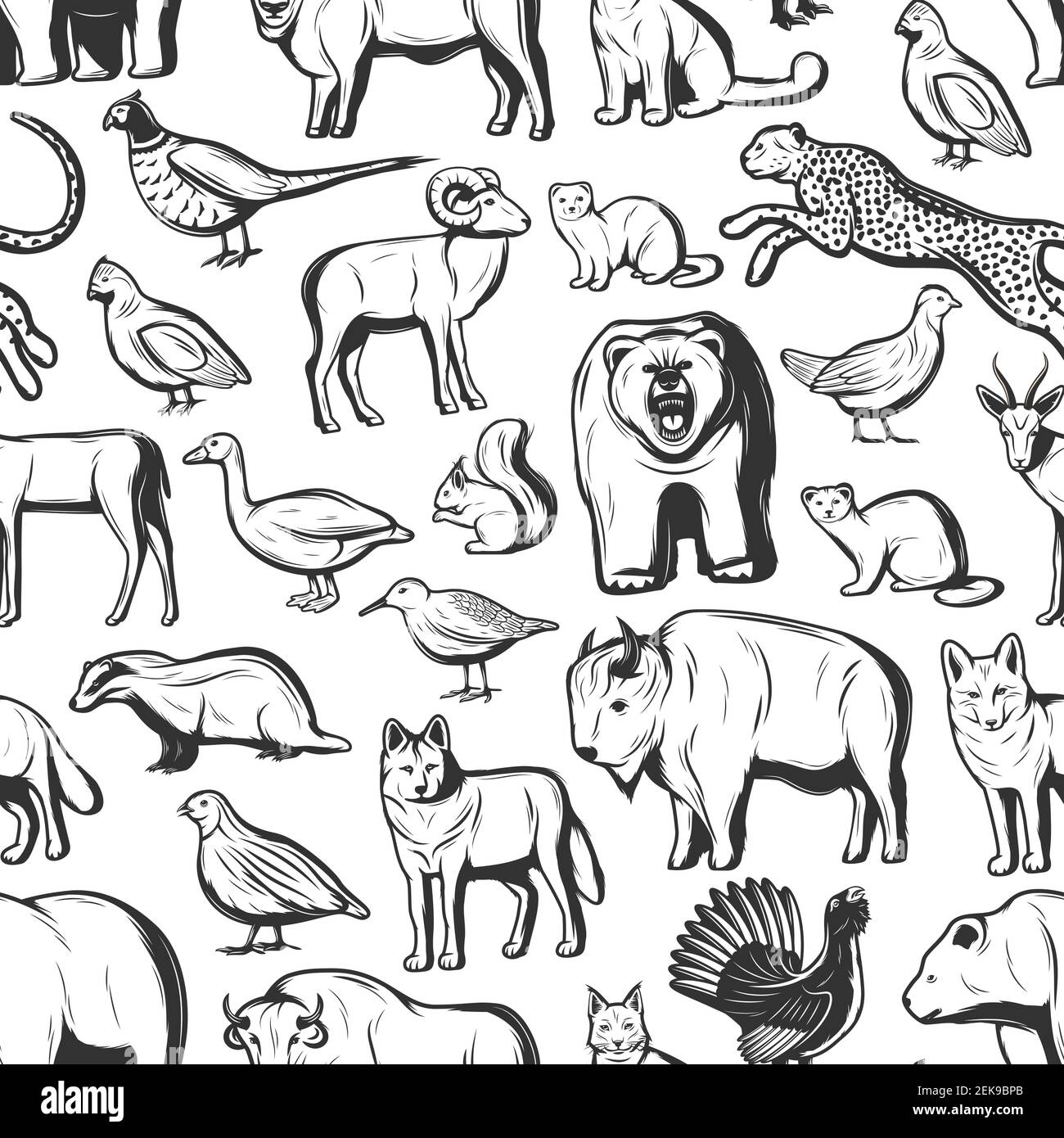 Animali e uccelli senza cuciture motivo sfondo. Vector African safari caccia ghepardo e bufalo, birra selvatica, tasso o volpe e lupo, caccia uccelli anatra, p. Illustrazione Vettoriale