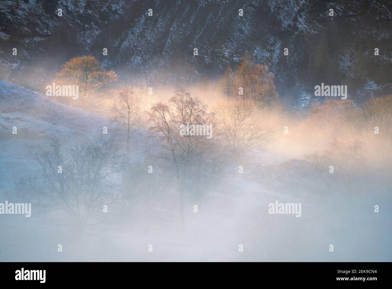 Maestosa luce del sole che splende attraverso la nebbia invernale e gli alberi nella valle del Lake District. Foto Stock