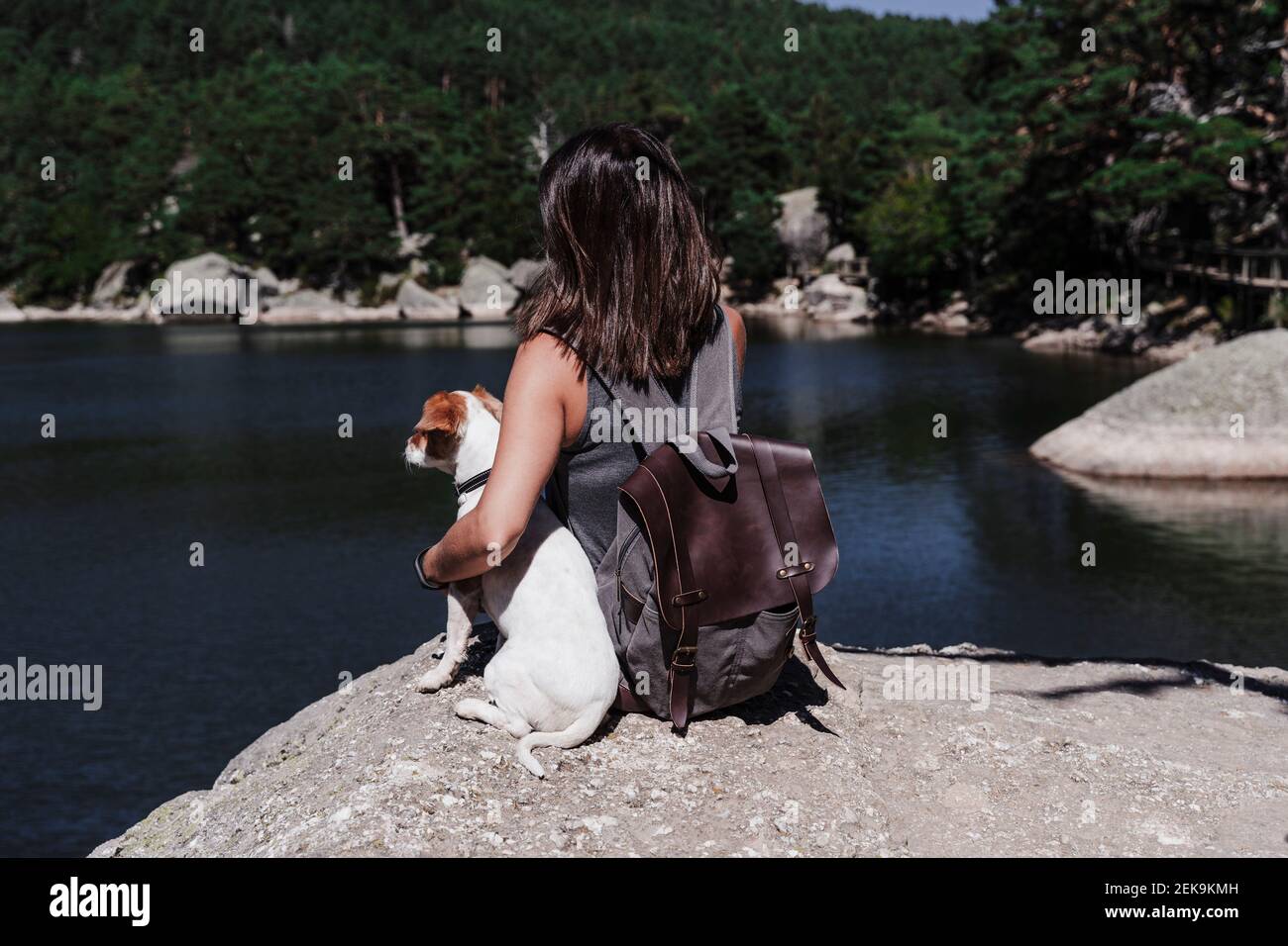 Donna con cane seduto sulla roccia vicino al lago durante il sole giorno Foto Stock