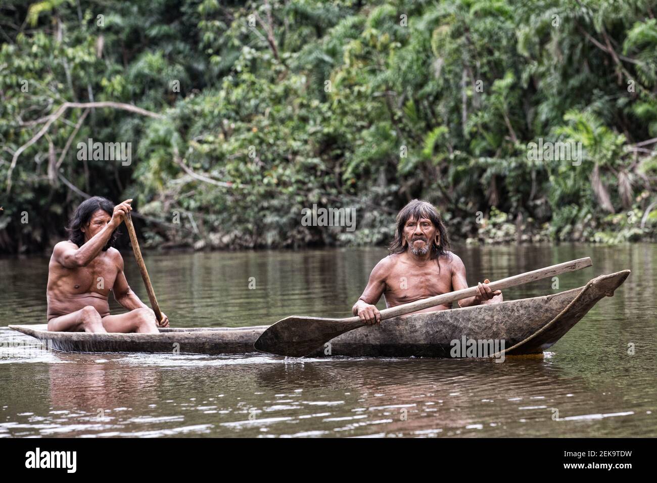 Si stima che la popolazione delle tribù sia superiore a 2000. FORESTA  PLUVIALE AMAZZONICA, ECUADOR: QUESTO AUDACE fotografo è riuscito a scattare  foto di una S infame Foto stock - Alamy