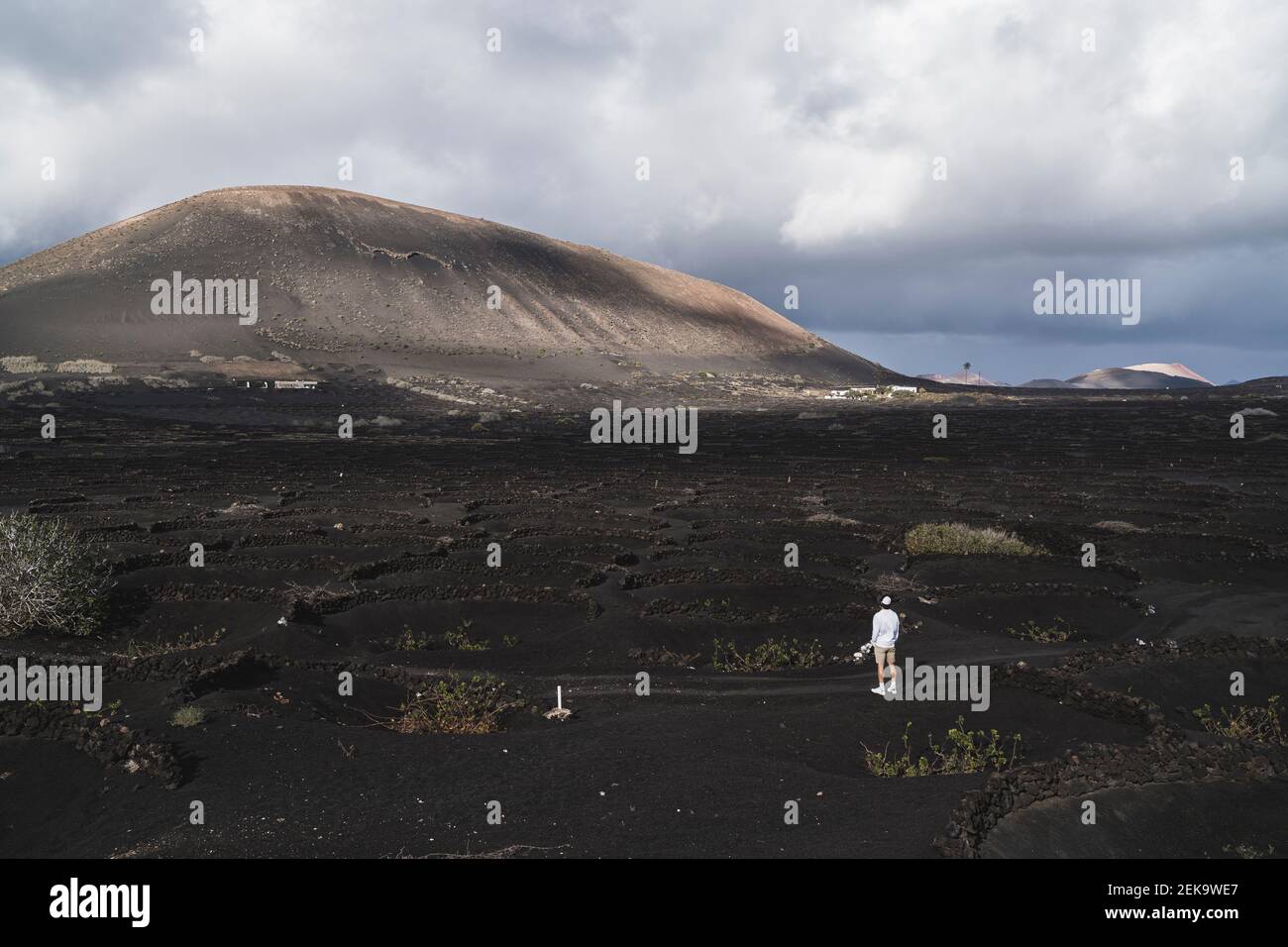 Giovane turista maschile in piedi sul suolo nero in vigneto al vulcano El Cuervo durante le vacanze, Lanzarote, Spagna Foto Stock