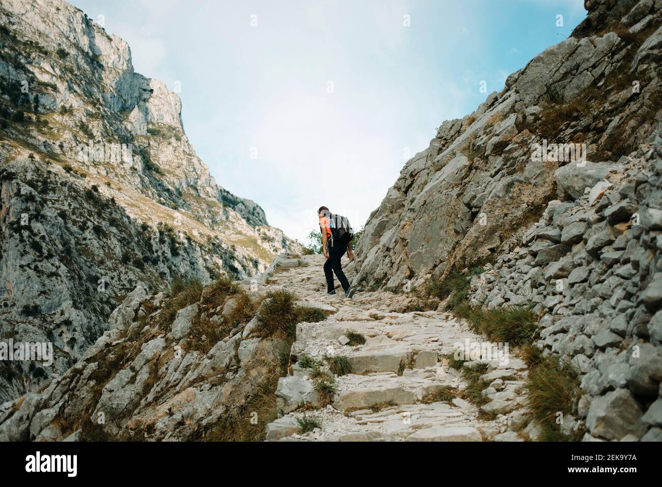 esploratore femminile con zaino a piedi sulla montagna di Cares Trail, Picos De Europe National Park alle Asturie, Spagna Foto Stock