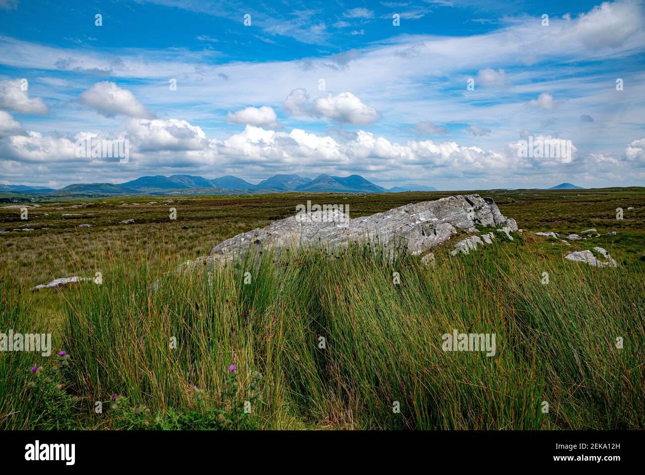 Formazioni rocciose su campo contro cielo nuvoloso Foto Stock