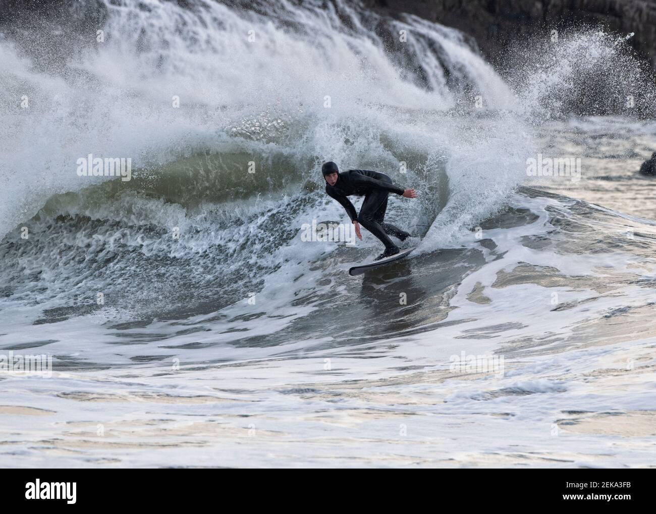 Surf maschile in mare a Broad Haven South Beach, Galles, Regno Unito Foto Stock