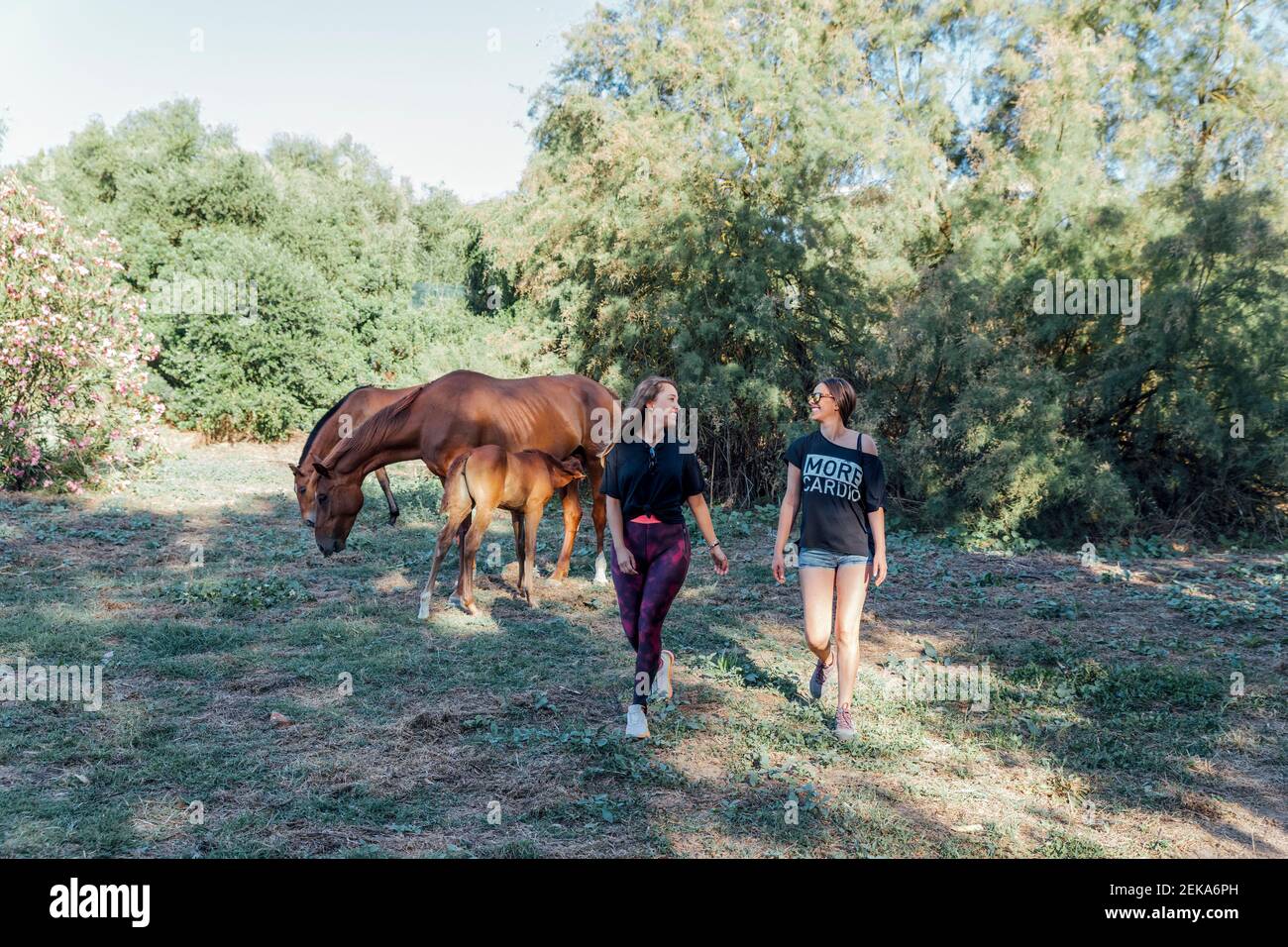 Amici femminili che camminano su terra erbosa con cavalli in background alla foresta Foto Stock