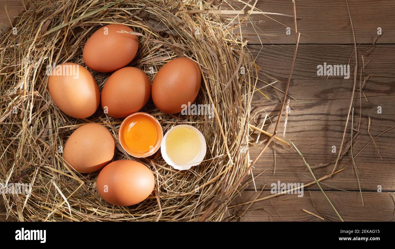 Diverse uova fresche di pollo crude in un nido di fieno su uno sfondo di legno, banner orizzontale. Foto Stock