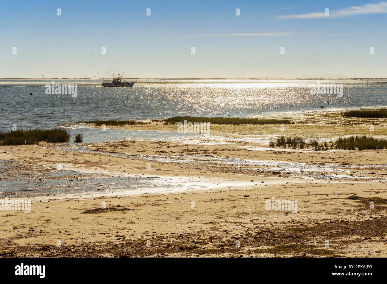 Splendido paesaggio del Parco Naturale di Ria Formosa con la barca di pescatori e uccelli volanti, Olhao, Algarve, Portogallo Foto Stock