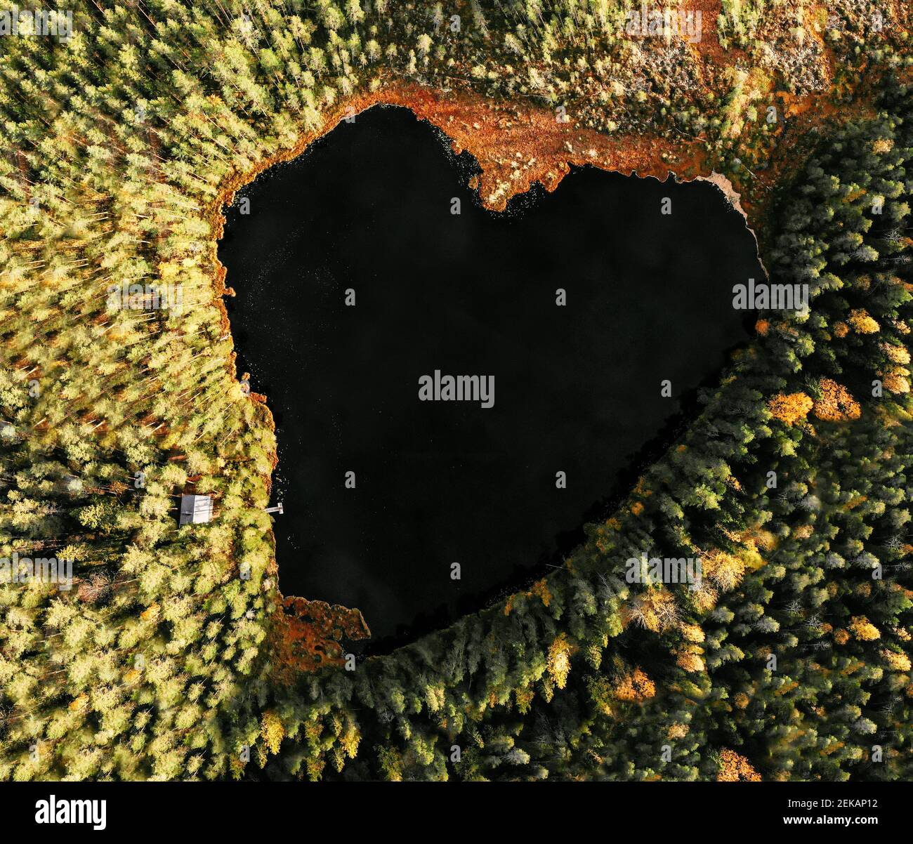 Vista areale del lago a forma di cuore tra alberi di pino foresta Foto Stock