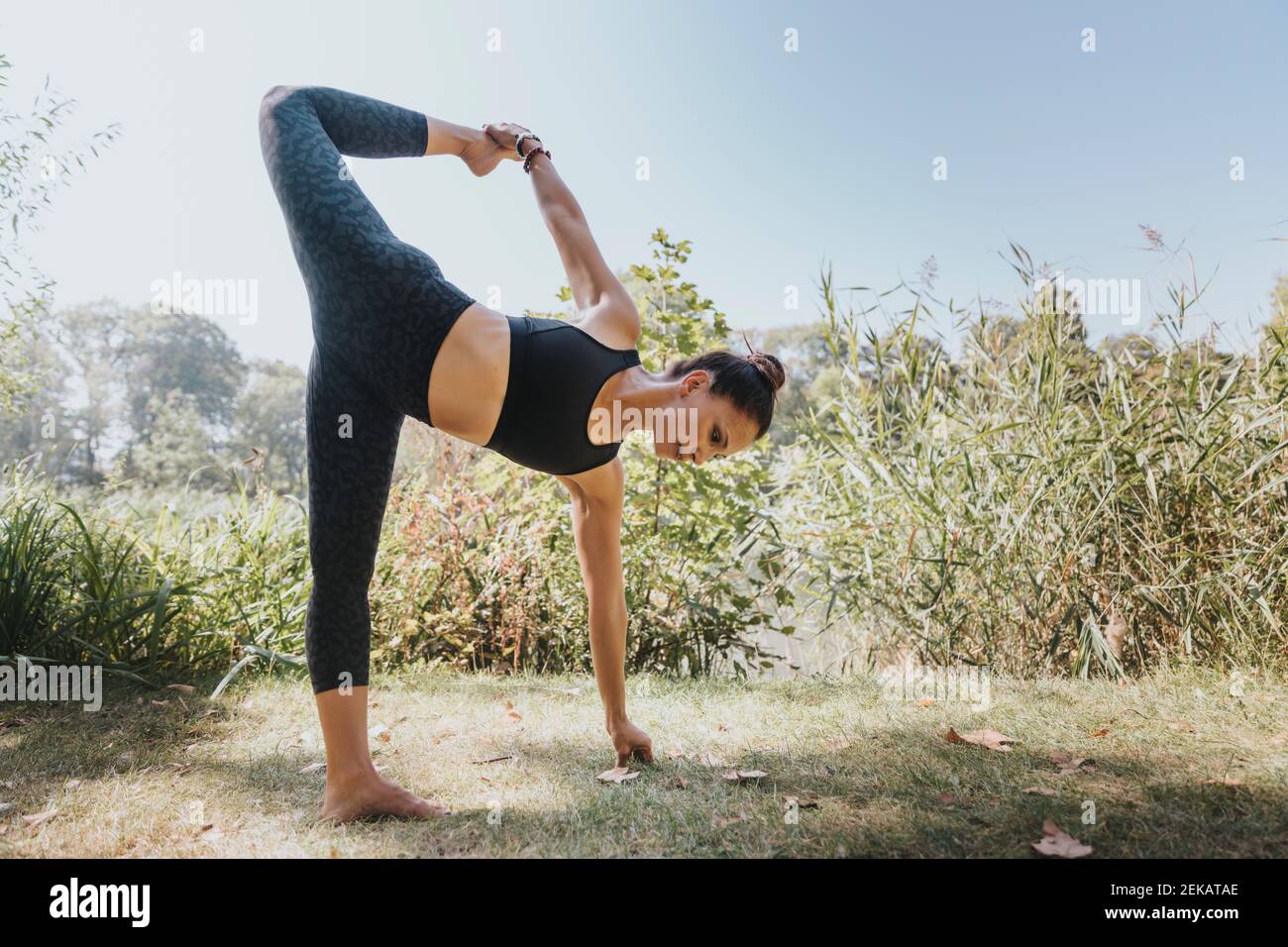 Atleta femminile che allunga mentre fa la posizione laterale della tavola al parco Foto Stock