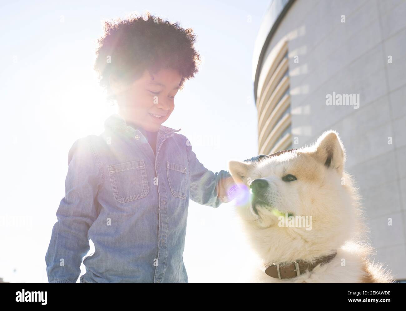 Ragazzo sorridente che gioca con il cane da compagnia mentre si sta in piedi all'aperto durante giorno di sole Foto Stock