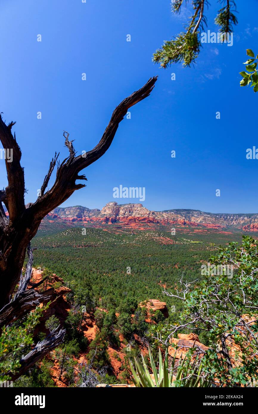 Vista panoramica del paesaggio contro il cielo blu chiaro, Devil's Bridge Trailhead, Sedona, Arizona, USA Foto Stock