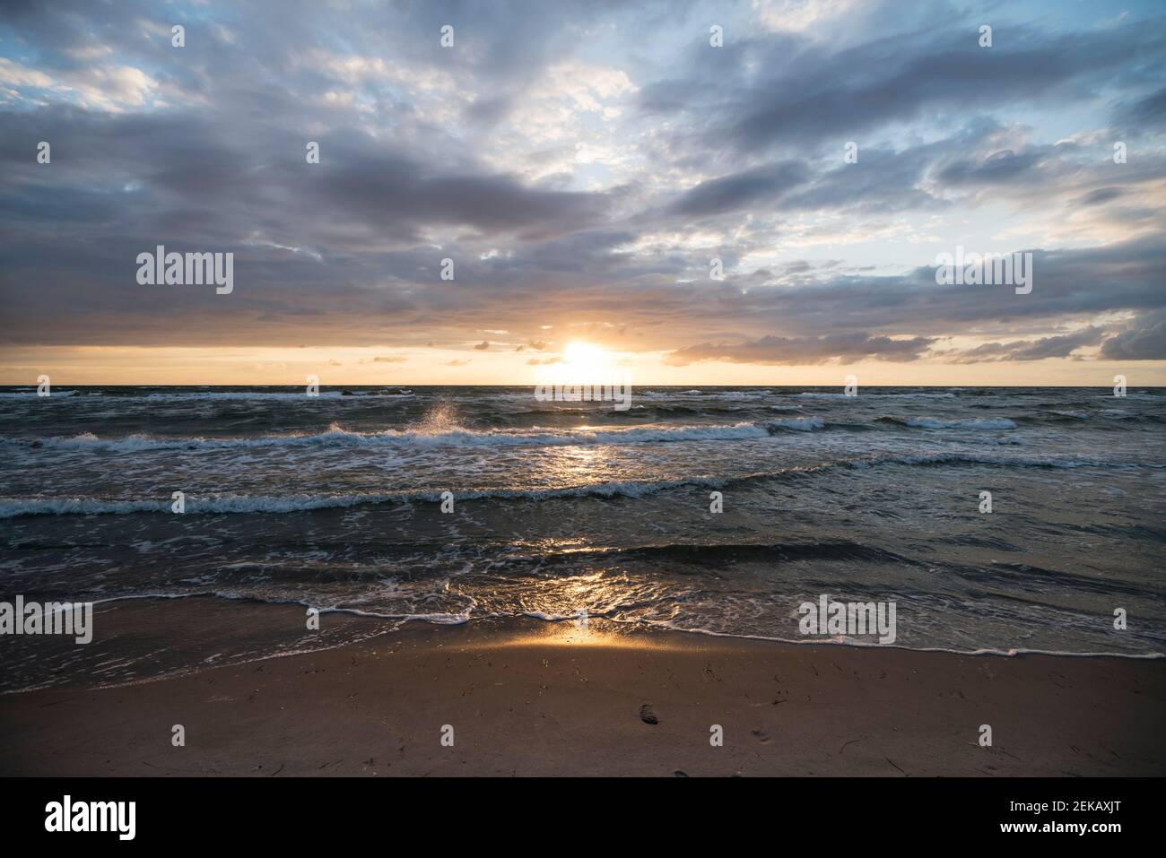 Germania, Darss, Weststrand spiaggia sabbiosa al tramonto panoramico Foto Stock