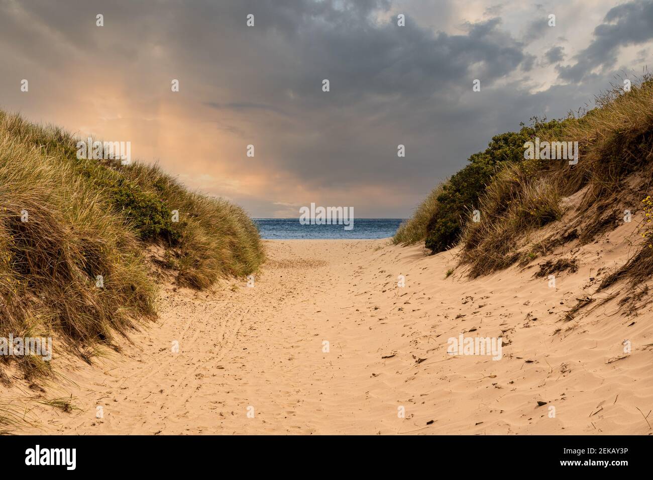Percorso di sabbia per la spiaggia tra le dune Foto Stock