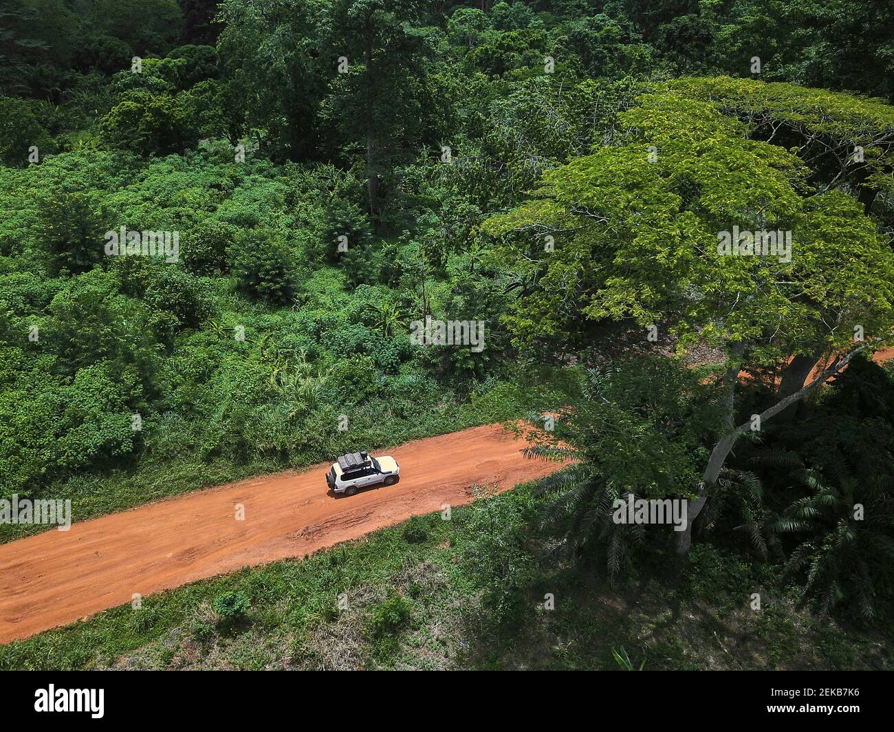 Costa d'Avorio, Korhogo, vista aerea di un'auto 4x4 che guida lungo la strada sterrata tagliando attraverso la giungla verde Foto Stock