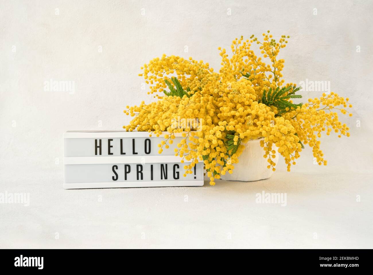 CIAO PRIMAVERA scritto in una scatola di luce e mimosa fiori bouquet su uno sfondo chiaro. Concetto di molla, spazio di copia Foto Stock