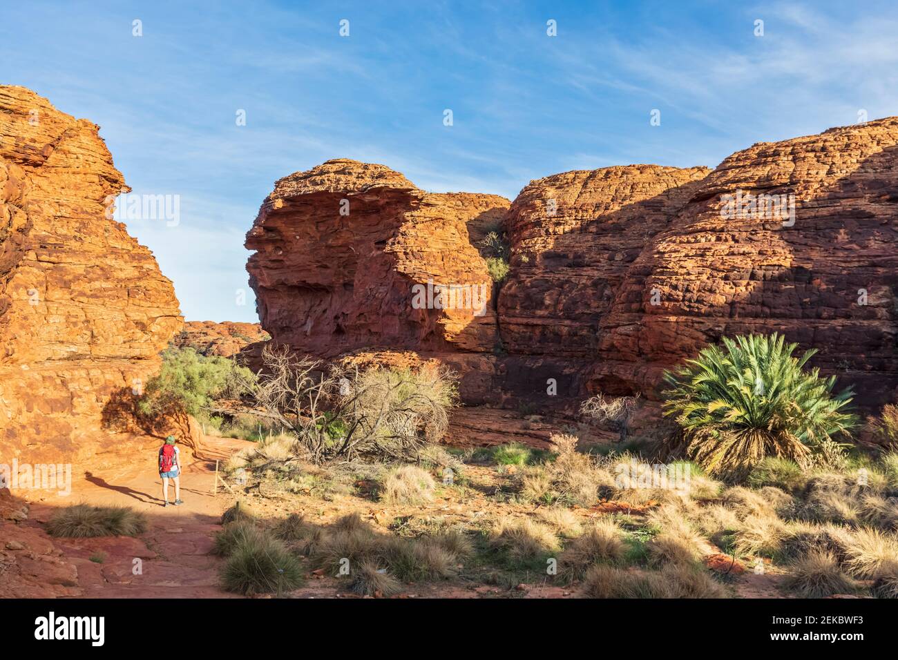 Donna escursioni da sola nel Kings Canyon Foto Stock